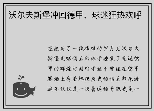 沃尔夫斯堡冲回德甲，球迷狂热欢呼