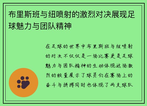 布里斯班与纽喷射的激烈对决展现足球魅力与团队精神